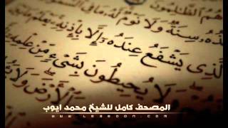 سورة الجن للشيخ محمد ايوب  Surat AlJin For Ayub [upl. by Beitch]