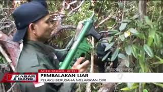 Aksi Seru KejarKejaran Polisi Hutan Dengan Pembalak Liar di Hutan Aceh Singkil [upl. by Devaney]