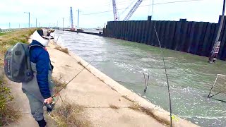 4 EASY BANK FISHING SPOTS in Galveston TX Maps amp Coordinates Provided Fish for FREE [upl. by Akihsay250]