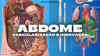 Anatomia Abdominal Vascularização e Inervação das Vísceras Abdominopélvicas  AULA COMPLETA [upl. by Llerrit]