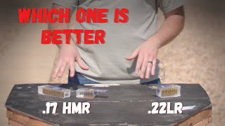 17 HMR vs 22LR Calibers An InDepth Comparison for Precision Shooters Hunting Mark [upl. by Vitus]