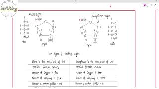 Differences between Ribose amp Deoxyribose sugar [upl. by Allanson]