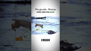 Projectile motion Example Video For Students  Lakshyam Coaching [upl. by Atteselrahc]