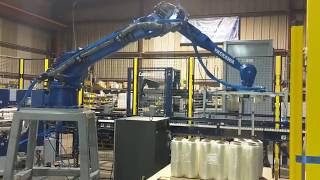 DPPSCPS Robotic Palletizing System [upl. by Goldman936]