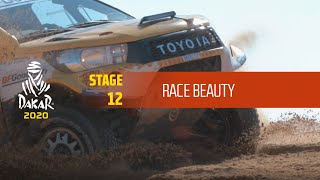 Dakar 2020  Stage 12  Race Beauty [upl. by Schonfield]