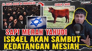 SAPI MERAH BETINA YAHUDI TELAH LAHIR  MASJID ALAQSA AKAN DIRUBUHKAN DAN MESIAH AKAN DATANG [upl. by Ernie984]