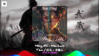 Hồng Mã 红马 Remix  Wseal Remix  Music Night 2003 [upl. by Nilecoj981]