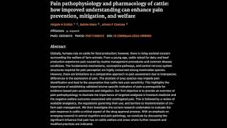 Pain pathophysiology and pharmacology of cattle [upl. by Clemente524]