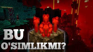 NETHER WART  U ASLIDA NIMA MINECRAFT TEORIYA minecraft [upl. by Nor]