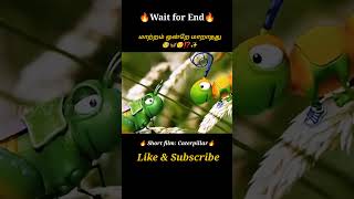 A Caterpillar selling shoes 👟Movie explained in tamil\dubbed MoviesTamil voice over mysterydiv [upl. by Aratahc]