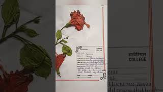 हर्बेरियम फाइल कैसे बनाए how to make herbarium file Herbarium sheet flower herbarium short shorts [upl. by Francene]