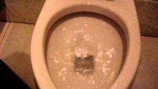 Exploding Toilet [upl. by Coopersmith]