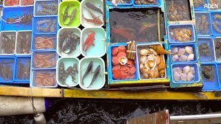 Hong Kongs Floating Seafood Market amp Fish Cutting [upl. by Mahmoud]