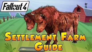 Fallout 4 Settlement Guide  Settlement Farm Guide [upl. by Aidnyl]