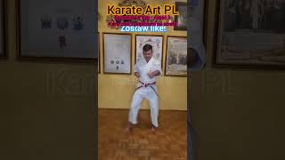 Egzamin 18 Kyu  część 1 Karazuki z pięściami na strefe karate sport sztukiwalki martialarts [upl. by Anaitsirhc827]