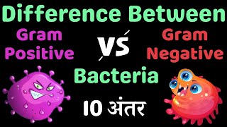 Gram Positive और Gram Negative Bacteria में क्या अंतर है Difference Between bacteria [upl. by Eillam871]