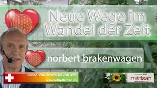 norbert brakenwagen Angst vor Veränderung Chancen in der Krise quotNeue Wege im Wandel dere Zeitquot [upl. by Artemisa]