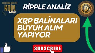 XRP Balinaları 130 Milyon Coin Topladı  XRP ANALİZ HABER 2024 [upl. by Moreville]