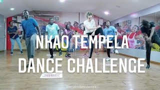 Nkao Tempela Dance Challenge  Chicco ft Mellow Sleazy [upl. by Trudi]