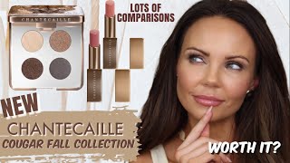 CHANTECAILLE FALL 2022 COUGAR COLLECTION  TRY ON  COMPARISONS  FULL REVIEW [upl. by Alinoel]