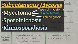 Subcutaneous Mycosis  Mycetoma  Sporotrichosis  Rhinosporiodosis [upl. by Kubetz]