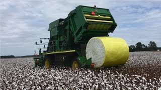 John Deere CP690 Cotton Picker in Action  Seminole County Georgia [upl. by Ilahsiav]