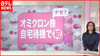 【解説】隔離は？濃厚接触者は？オミクロン株quot自宅待機quotで初確認 [upl. by Icrad]