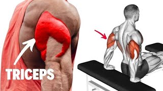 7 BEST EXERCISES FOR BIG TRICEPS। TRICEPS WORKOUT AT GYM। BEST TRICEPS EXERCISE।। [upl. by Jarita]