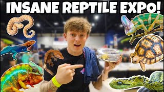 I SPENT OVER 1000 AT THIS REPTILE SHOW INSANE [upl. by Ettedranreb]