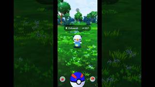 I Got Oshawott in Pokemon GO Indonesia  Gameplay  shorts pokemongo pokégoworthy [upl. by Tullusus]