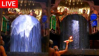 🔴LIVE  நேரலை  2021  Pradosham Thanjavur temple 16112021 [upl. by Ynaffets]