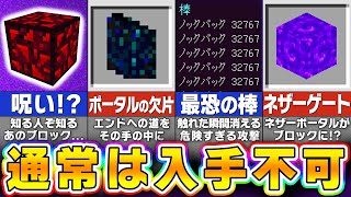 【マイクラ】絶対にゲットできない統合版限定のヤバい隠しアイテム４８選【まいくら・マインクラフト】 [upl. by Coates389]