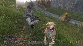 Dayz dogmod a good boy catching dinner for me [upl. by Earley]