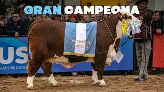 GRAN CAMPEONA HEMBRA BRAFORD  EXPO RURAL PALERMO 2024 [upl. by Eelydnarb20]