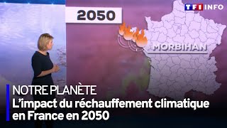 L’impact du réchauffement climatique en France en 2050 [upl. by Aeslehs]