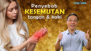 PENYEBAB KESEMUTAN DI TANGAN amp KAKI [upl. by Harden]