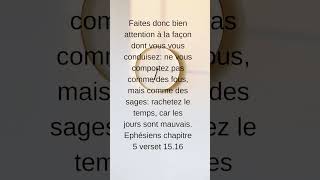 Verset biblique Ephésiens ch5 verset 1516 Rachetons le temps [upl. by Calvin]