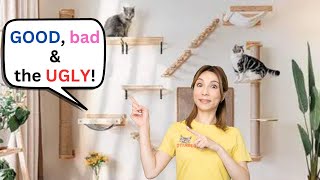 Catification On A Budget Wall Mounted Cat Shelves DIY  Product Critique [upl. by Leimaj]