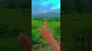 suger brownies song finger fingerdance song trending viral short youtubeshorts [upl. by Nnylanna]