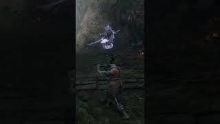 Sekiro Corrupted monk sekiroshadowsdietwice [upl. by Eeneg742]