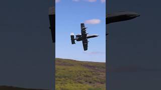 A10 Thunderbolt in Action  A10 Air Defense Training  Warthog Brrrt [upl. by Revert]