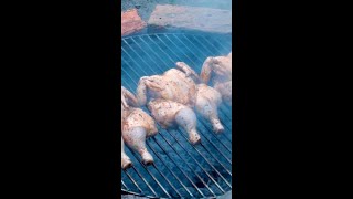 Spatchcocked Grilled Chicken [upl. by Adal]