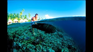 Surf Travel  Tuamotu Islands [upl. by Naujat]