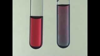 Citrate Synthesis of Gold Nanoparticles [upl. by Wurst]