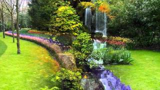 Vozes da Primaveravalsa de Johann Strauss Jr  wmv [upl. by Hackney608]