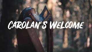 Mikaël Herrou  Carolans Welcome harpe celtique [upl. by Nabalas881]