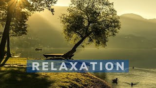 Musique Relaxante Anti stress 30 minutes Calmer lanxiété naturellement [upl. by Aicenert]