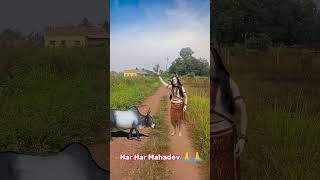 Mahadev ki sakshat darshan Har Har Mahadev 🙏🙏 sorts mahadev trending reels [upl. by Naillij669]