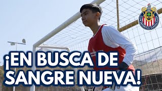 CHIVAS INICIÓ VISORIAS EN BUSCA DE SANGRE NUEVA [upl. by Nnylatsyrc]