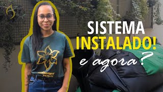 Biodigestor Instalado o que pode colocar no sistema de biodigestão [upl. by Nirra]